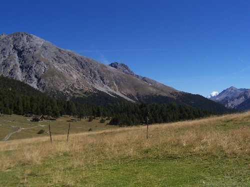 Alp Ivraina mit Ortler